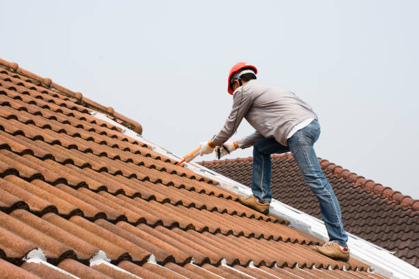Best Roof Ventilation Installation  in Mansfield, AR